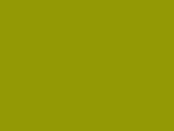 Tamarack Color Chip